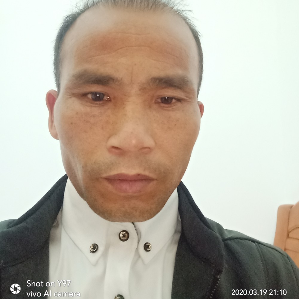 不听话的停止皮带的照片