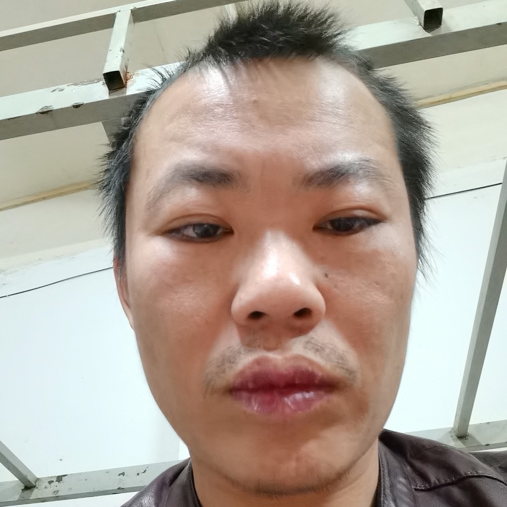 彪壮蹁跹黑猫的照片