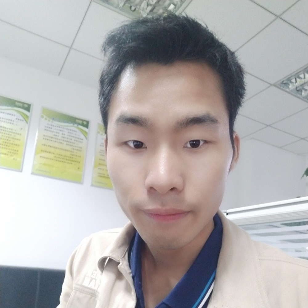 开心蜡烛叶的照片