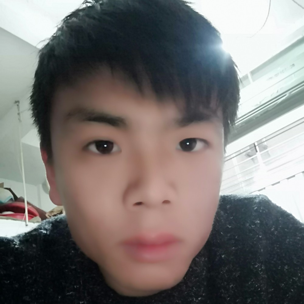 小懒猪爱恋闪闪的照片
