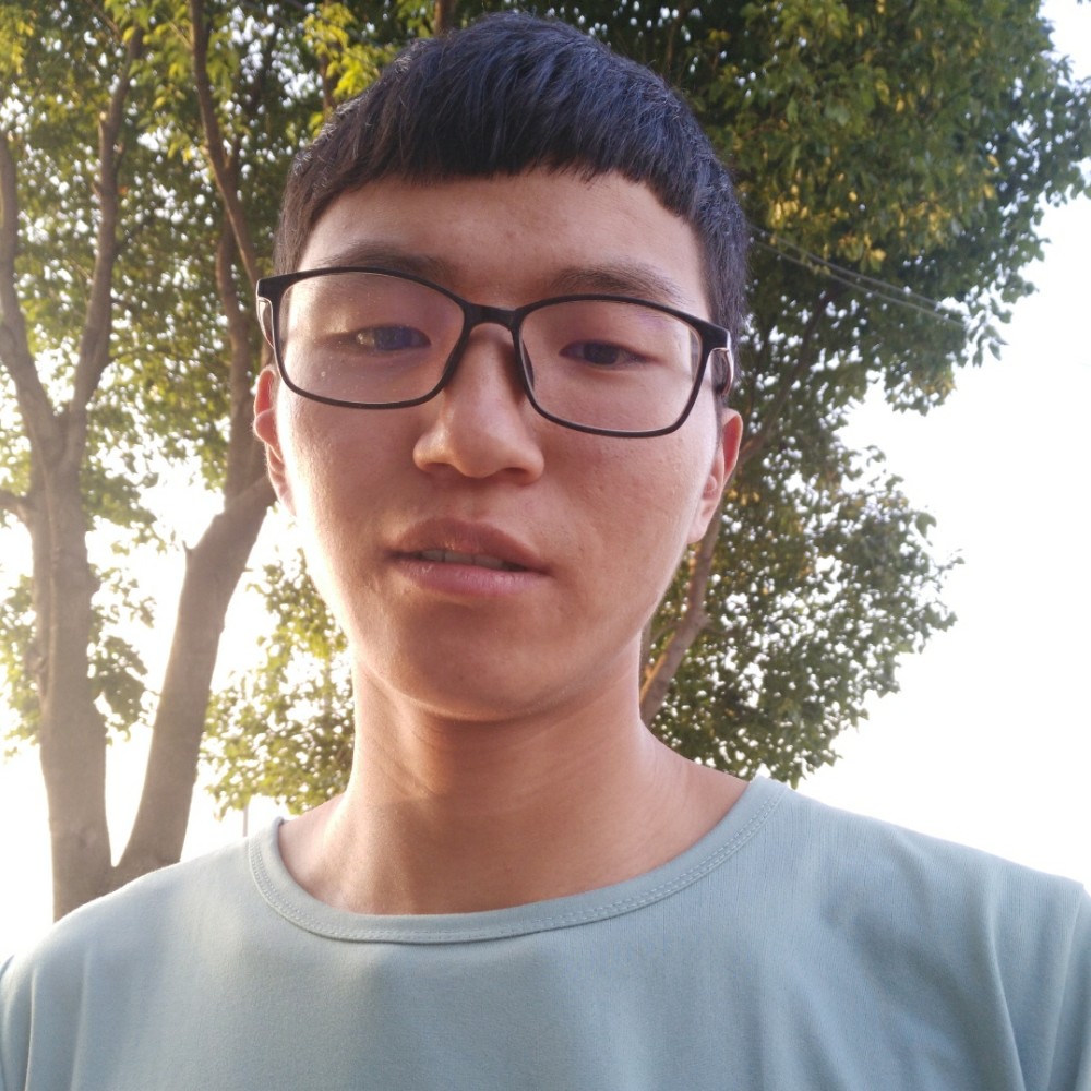 粗心纸鹤的照片