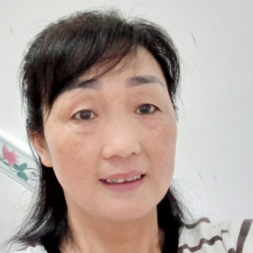 小海豚糊涂的照片