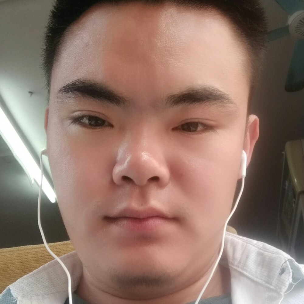 玉米含蓄的照片