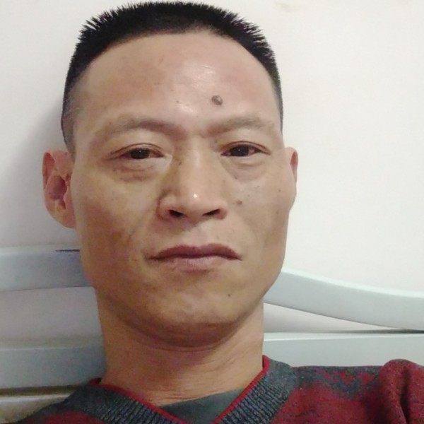 花瓣漫步危机的照片