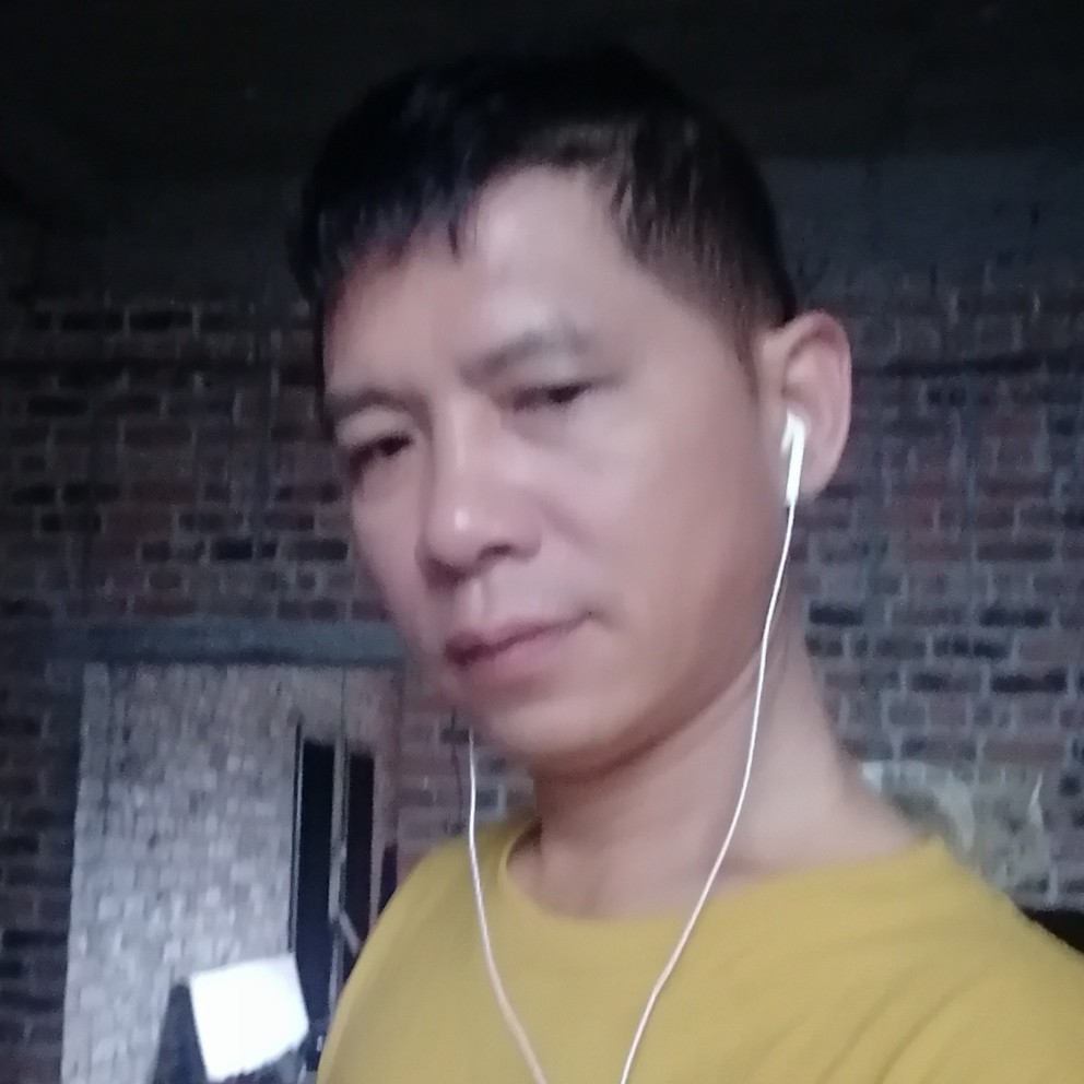 迷茫等待灰狼的照片