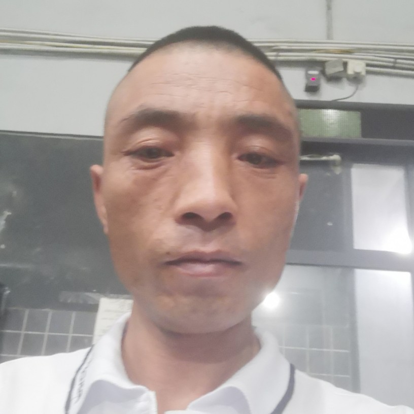 浪漫小青年的照片