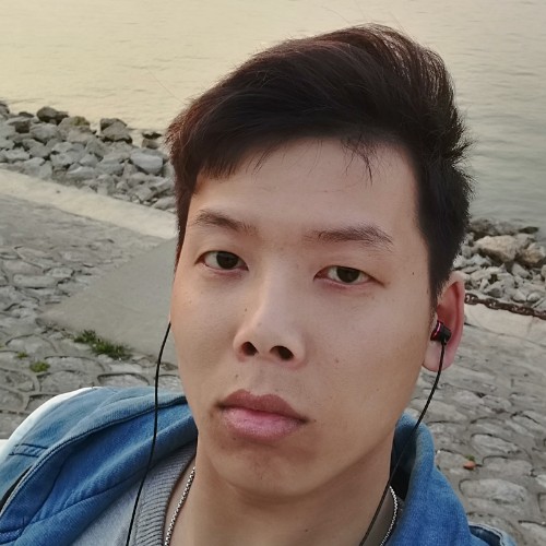 木讷的木头的照片