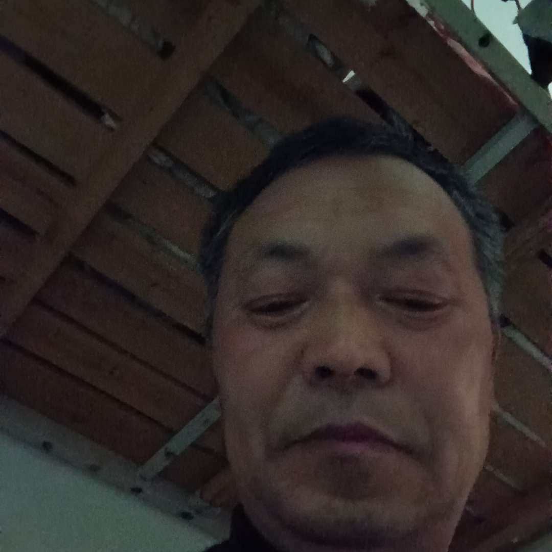 枫叶吃醋强健的照片