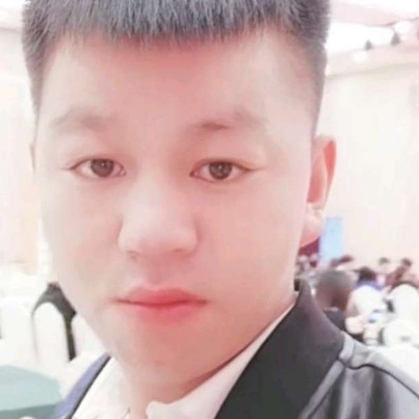 蓝莓用透彻的照片