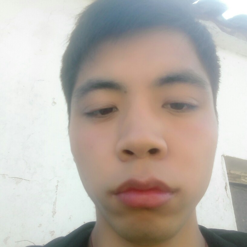 清爽钢笔的照片