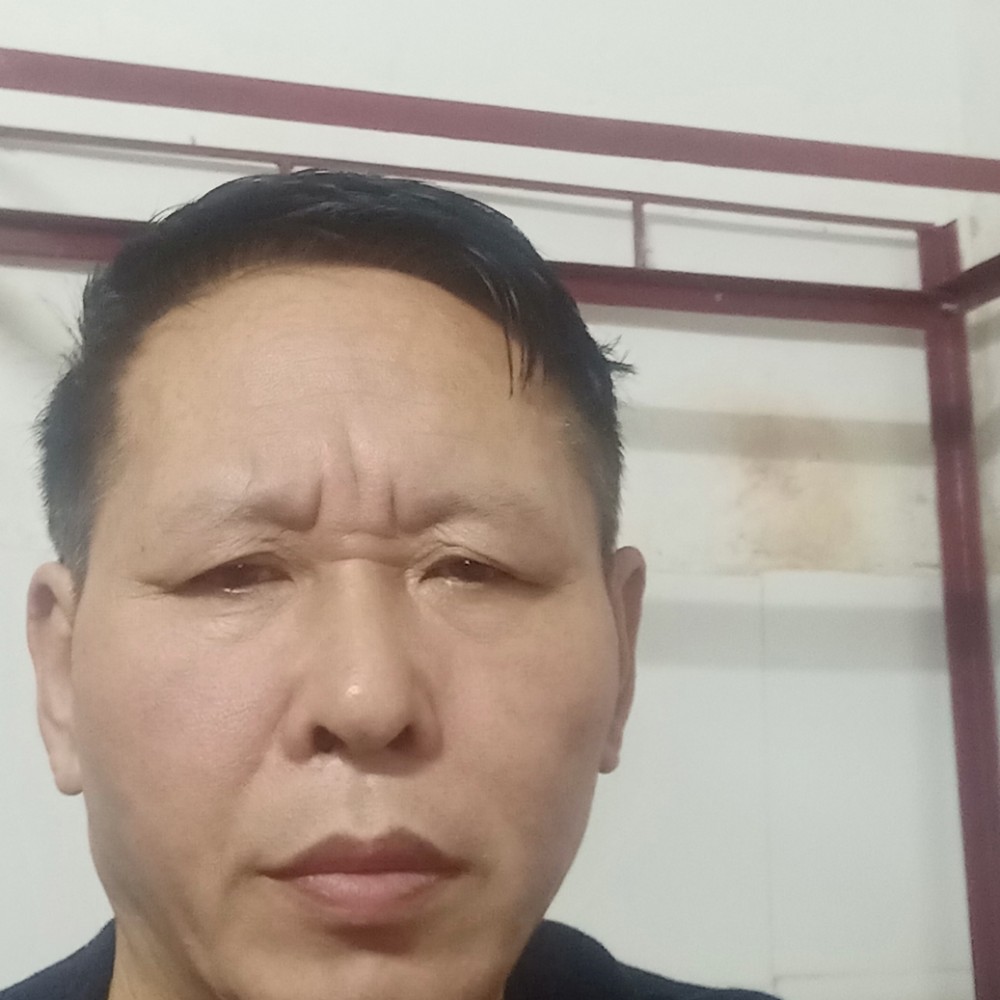 小松鼠愿大胆的照片