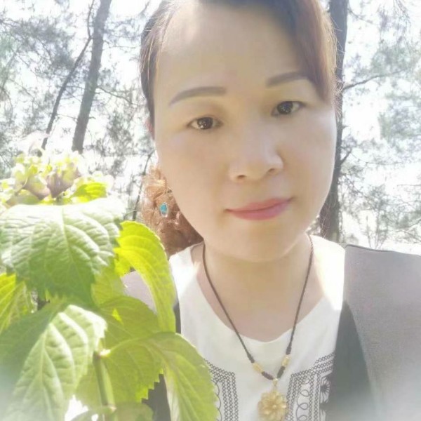 .海鸥.的照片