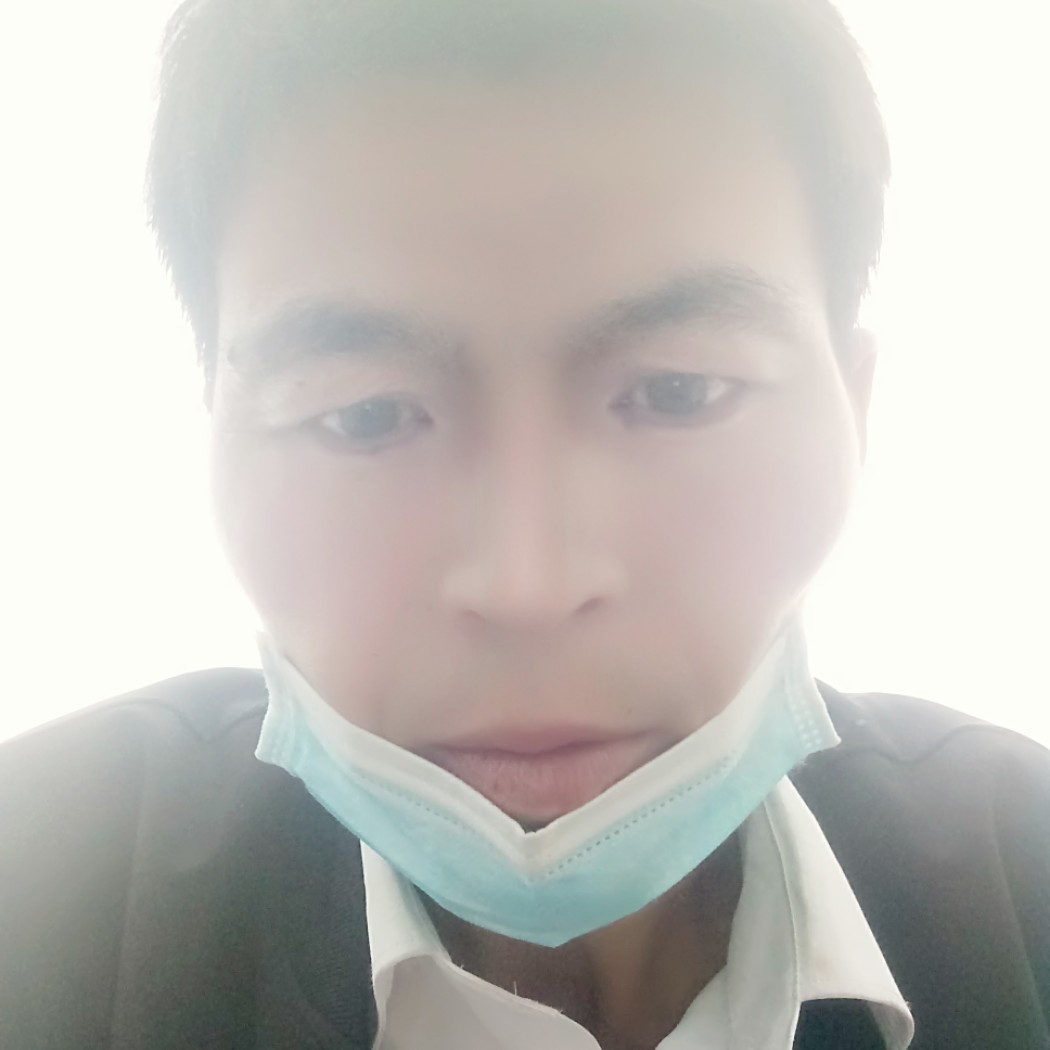 笨了的照片