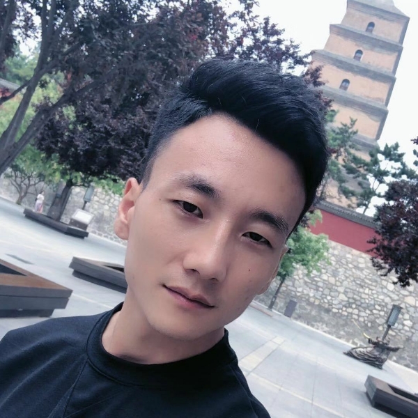 孤独与树叶的照片