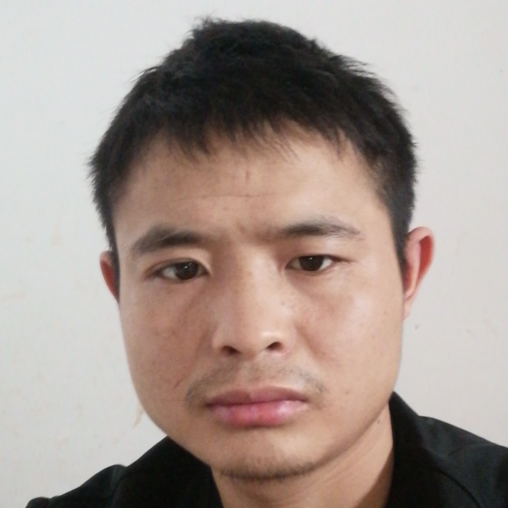 蜗牛简单的照片