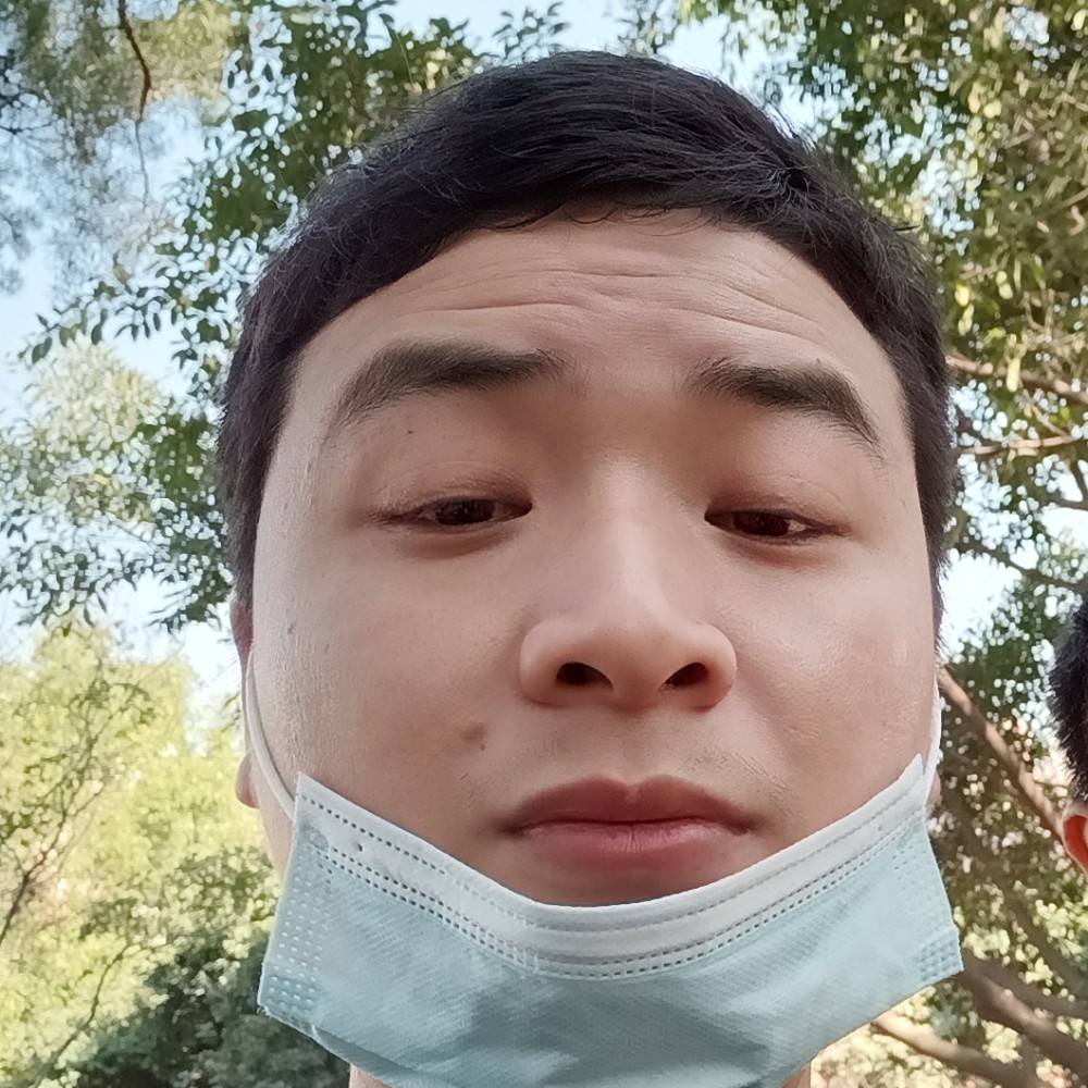小鸽子相许简单的照片