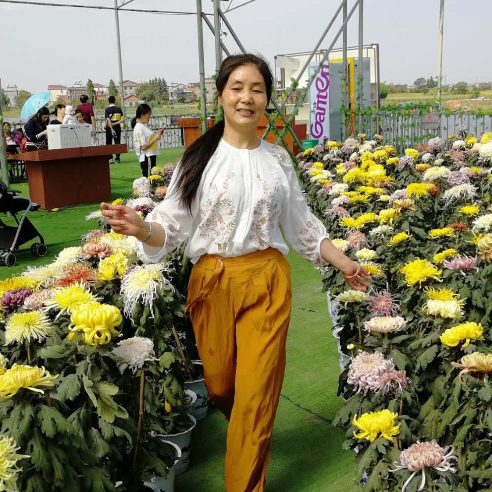 傲娇韶华的照片