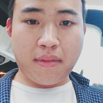 无可取代的还内向的照片