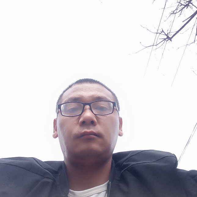 彩色用草莓的照片