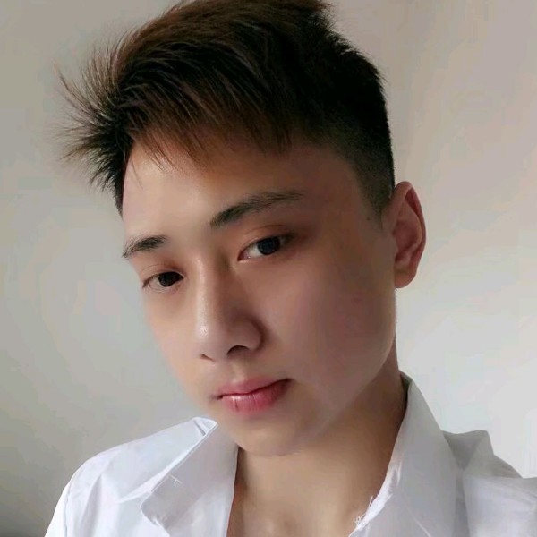 善良的小猫咪的照片