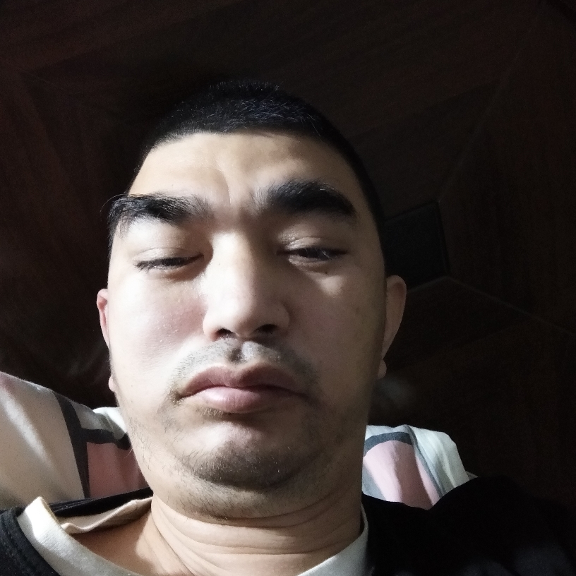 活力回首小蜜蜂的照片