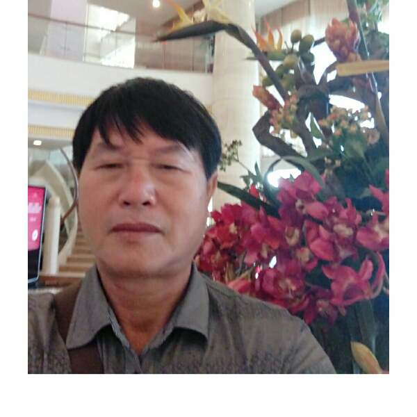 斑驳与惊鸿的照片