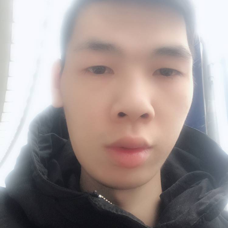 砖头斯文的照片