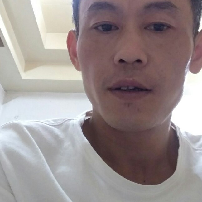 幸福小蚂蚁的照片