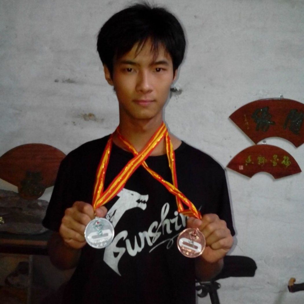 柳絮因风起的照片