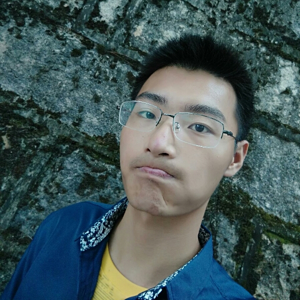 一坨炮炮龙的照片