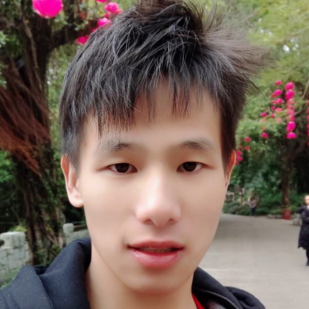 不听话的鸭子的照片