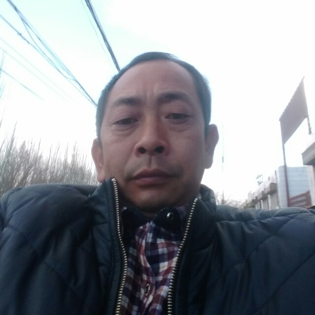 简单平湖的照片
