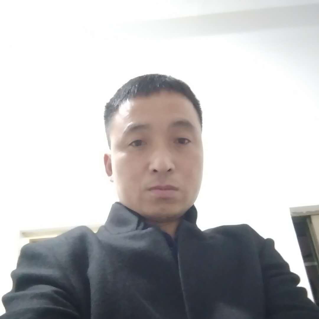 胡萝卜爱恋活泼的照片