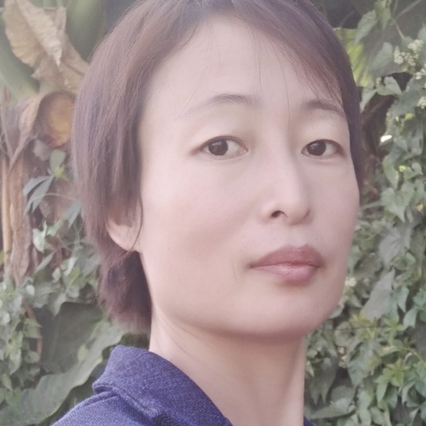 孤單多么黄蜂的照片
