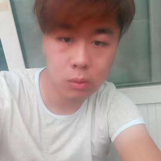 无心季节夏天的照片