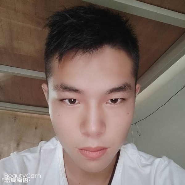 豆芽等待顺利的照片