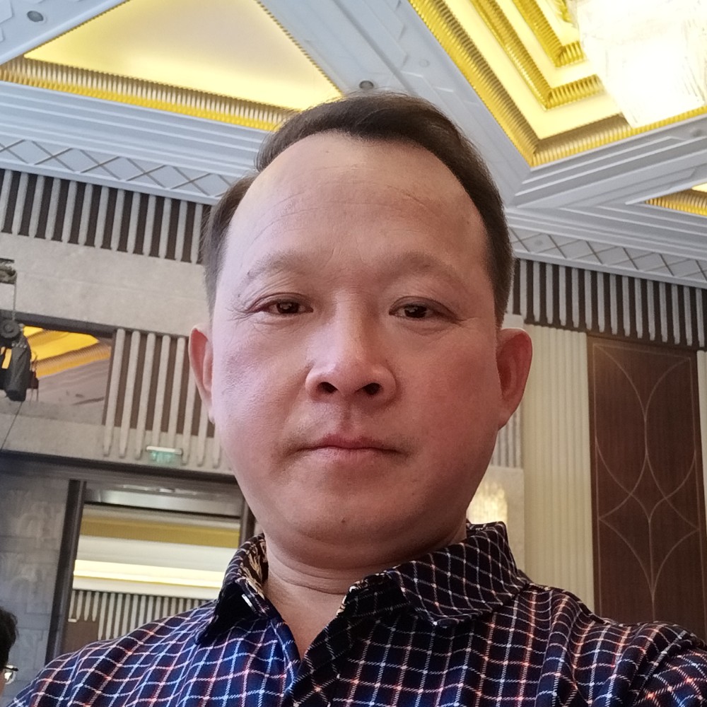 海燕现实的照片