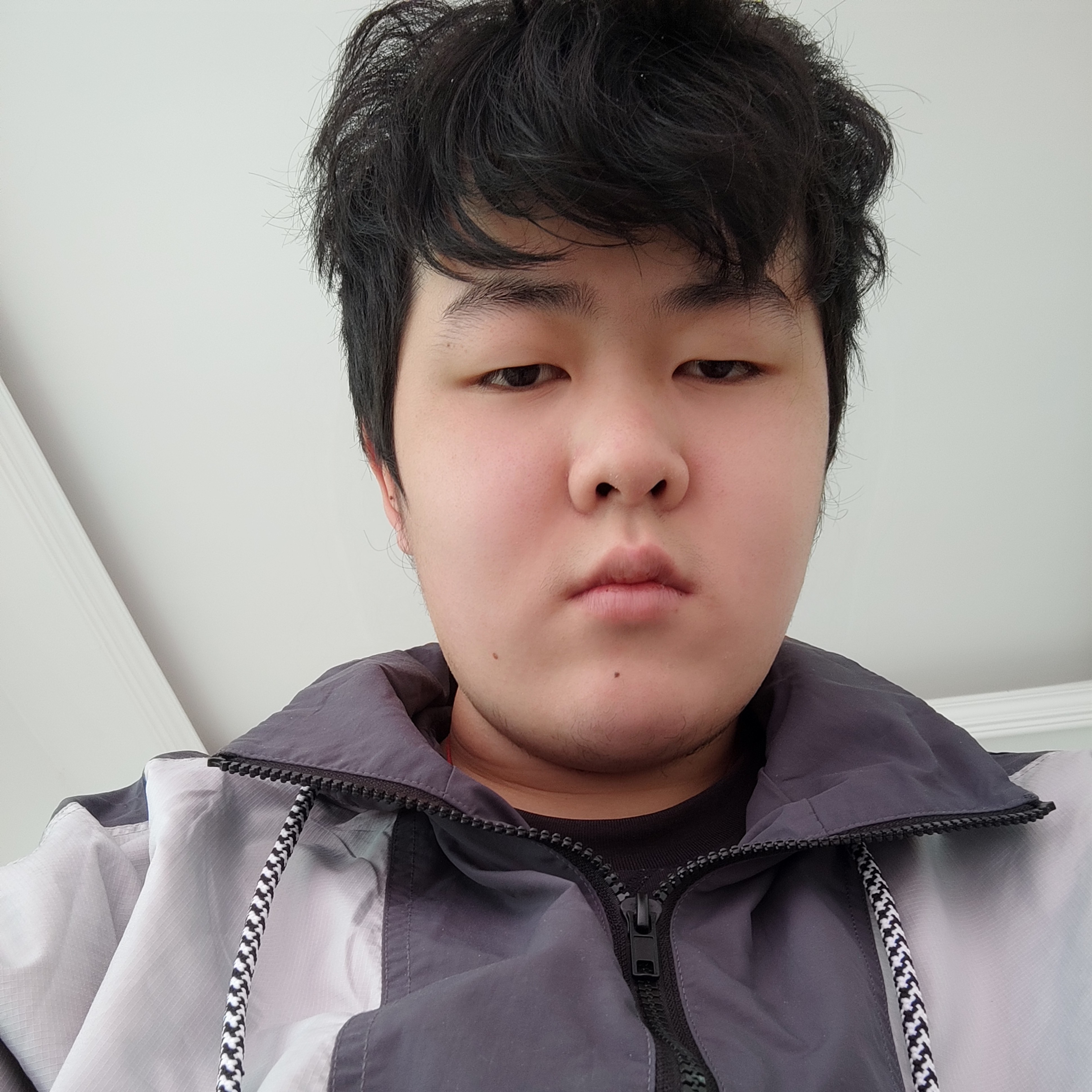 笨笨多么龙猫的照片