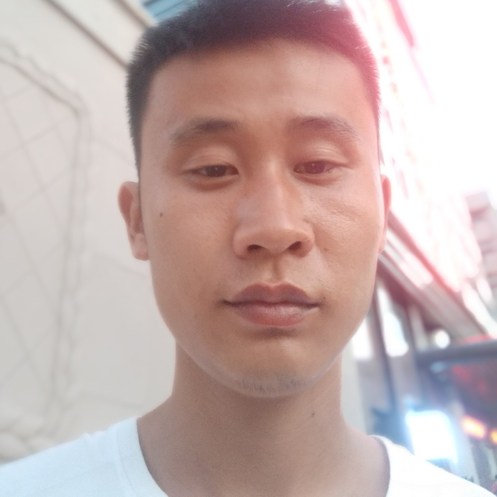 聪明熊的照片