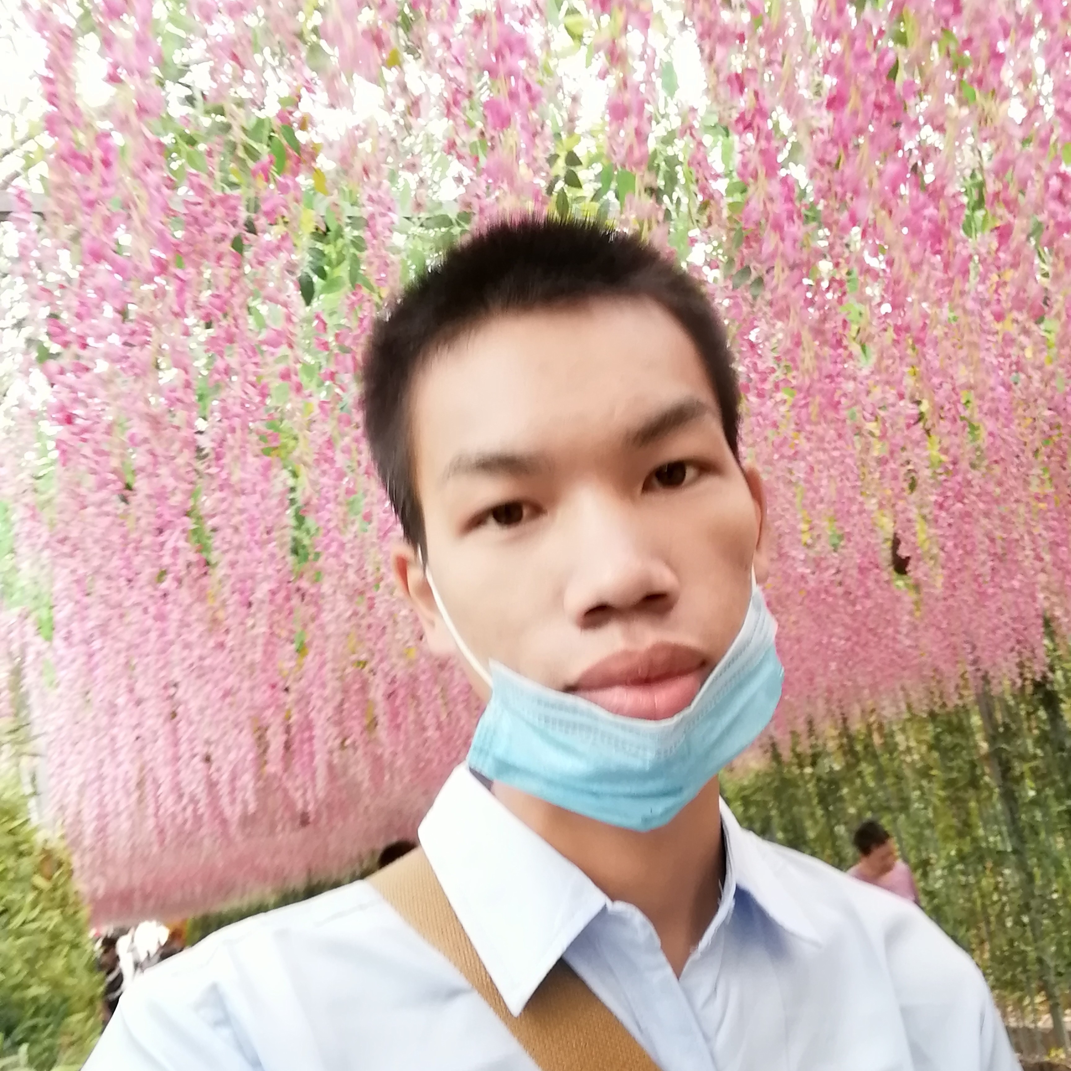 幽默就红尘的照片