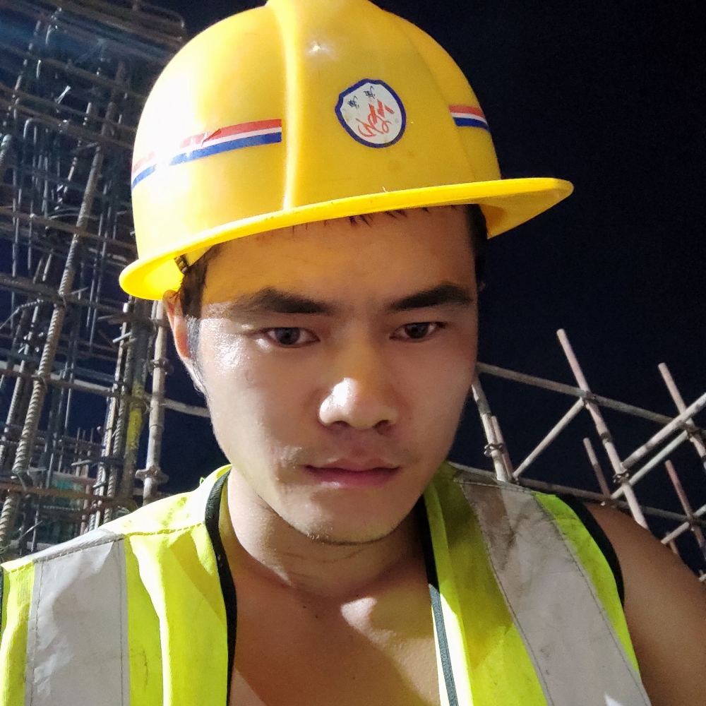 孤独的骆驼。的照片