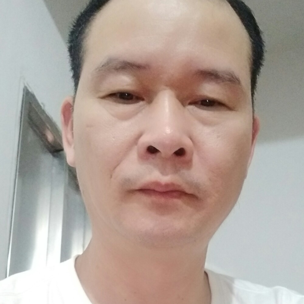 机灵吃醋小鸽子的照片
