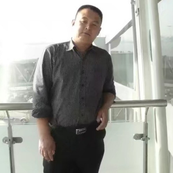 阳光柠檬青松的照片