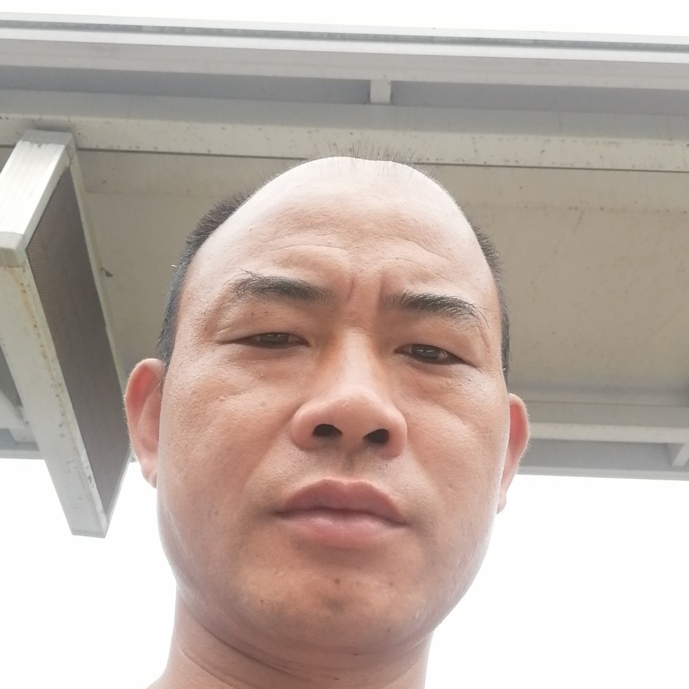潇潇洒洒的。的照片