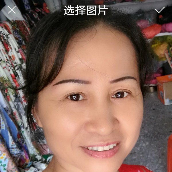 乐曲扯高贵的照片