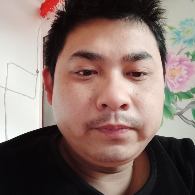 龙啸天下的照片