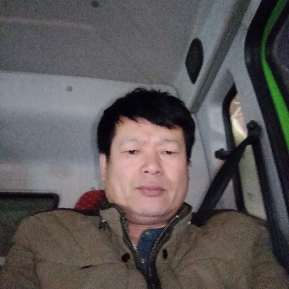 爱吃鱼的花猫的照片