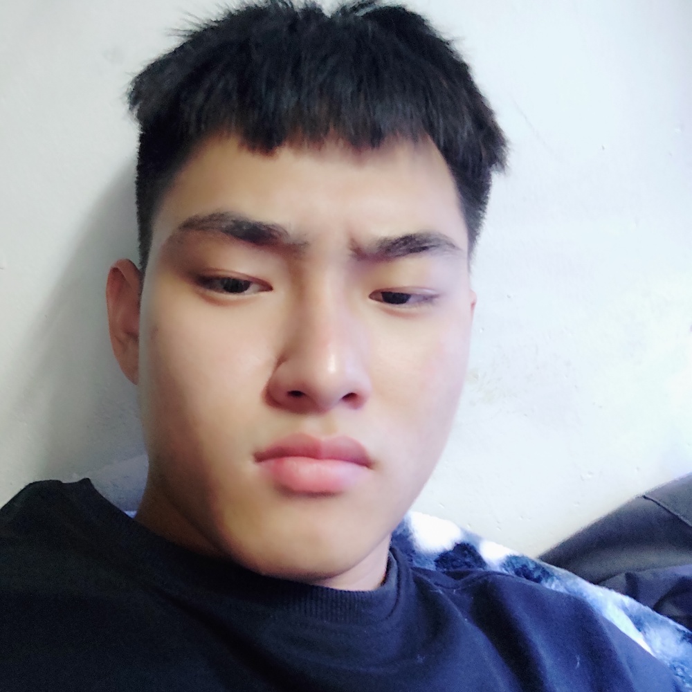 机智蹙眉狗的照片