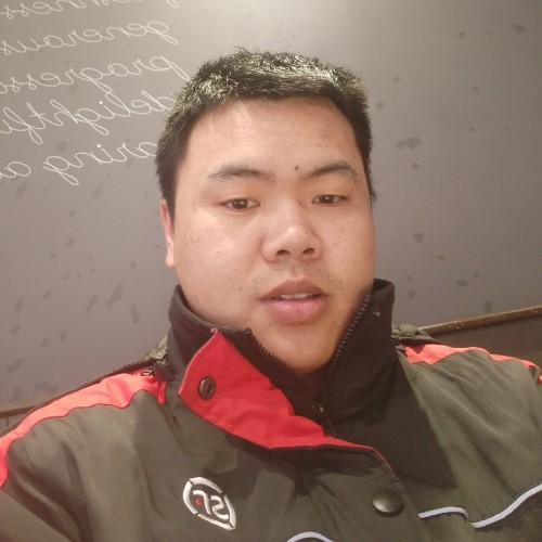 飞。的照片