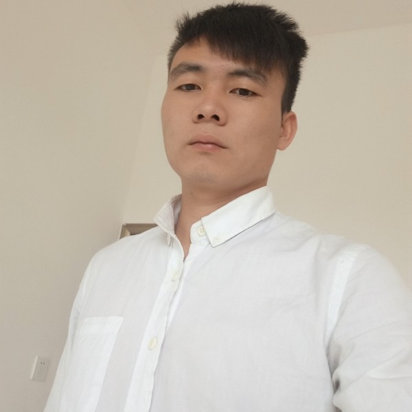 动人红玫瑰的照片